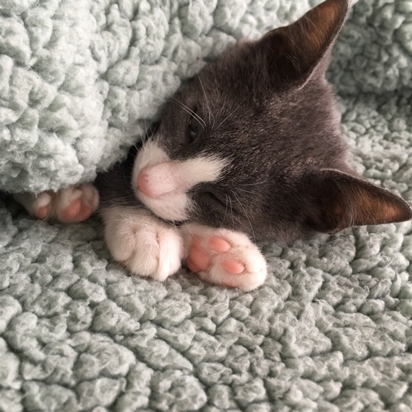 jinmilee